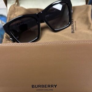 Burberry Arden 0BE4391-300018G Women’s Sunglasses with Case
